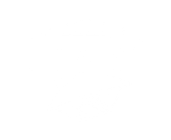 szeseesport feher
